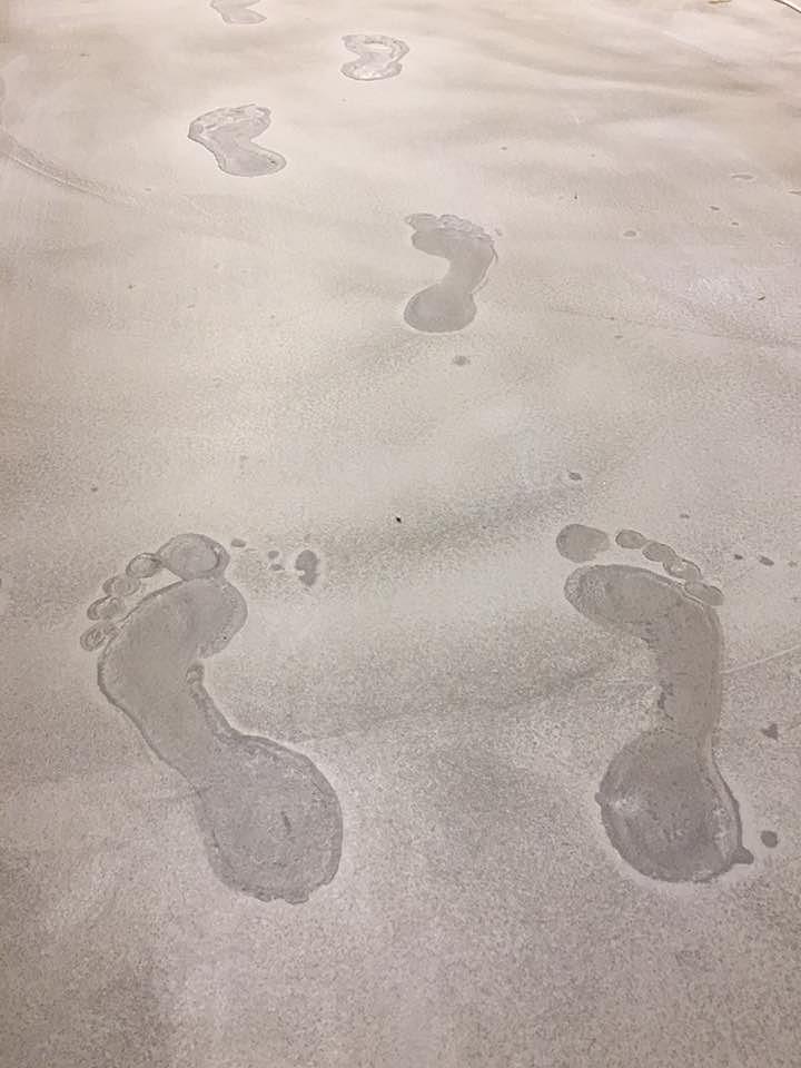 Po stopách bosobot Po stopách bosobot