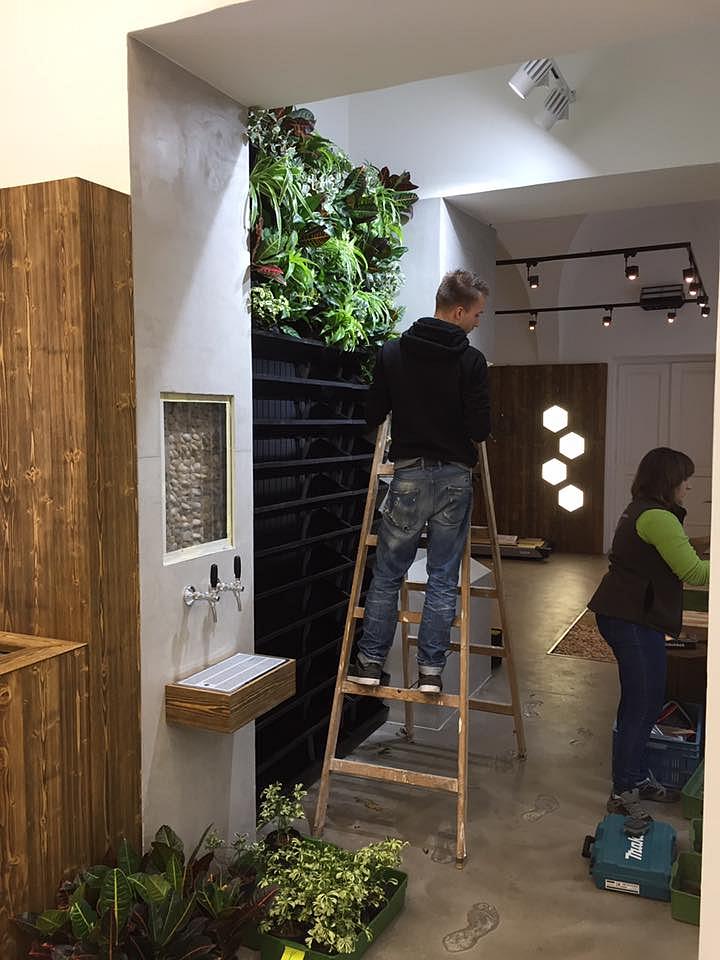 Připravujeme zelenou stěnu Připravujeme zelenou stěnu